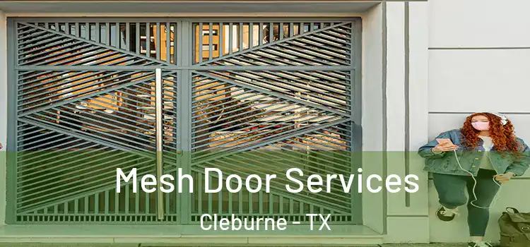 Mesh Door Services Cleburne - TX